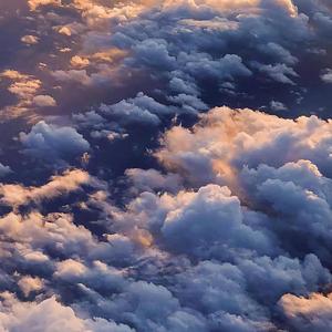 日本动漫美女黄色
